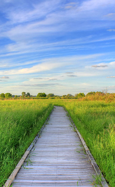 Boardwalk image